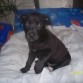 2 meses